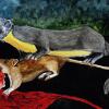 Weasel and Rat in Disguise